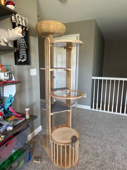 75 inch cat tower
