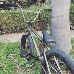 Kink curb 2019 deals