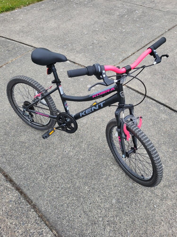 20 In Wheel Bike