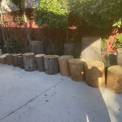 Wood Stumps