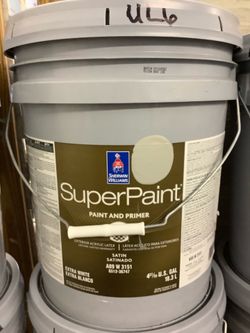 Exterior Super Paint + Primer (Gray Huskie)