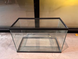 10 gallon fish tanks