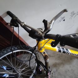 Bike Frame And Rims