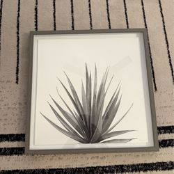 Framed Wall Art