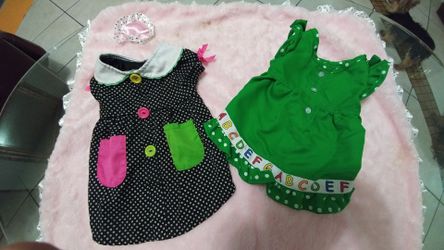 Pets clothes
