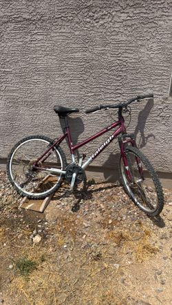 FREE bike