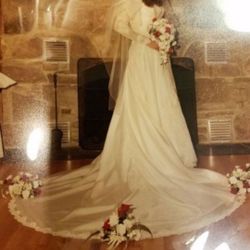 Wedding Gown and Vail