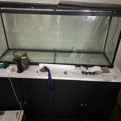 55 Gal Tank And Nice Stand 