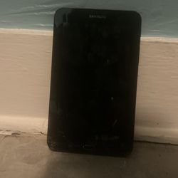 Samsung Galaxy Tab3 Lite (sm-t110) 