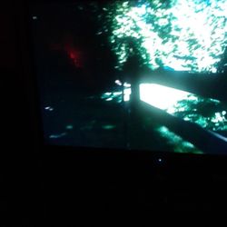 Television Flat Screen