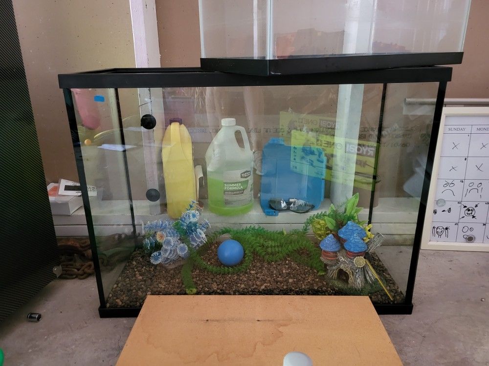 Fish Tanks