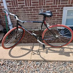 Adult Kent flex bike