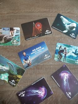Seaworld Tickets