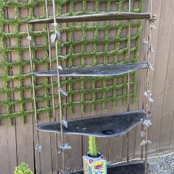 Plants Stand For Only 25 Dollars 