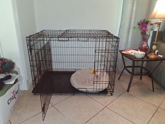 Dog cage large