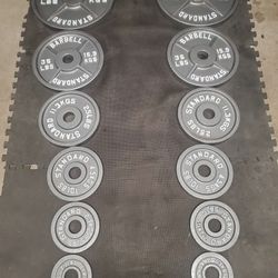Complete Olympic Weight Set(2x45lbs 2x35lbs 2x25lbs 2x10lbs 2x5lbs 2x2½) Thats 245lbs All Together 