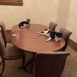Solid Wood Dining Table And 5 Chairs 
