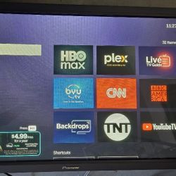 Pinoneer 50-inch XGA Professional Plasma Display