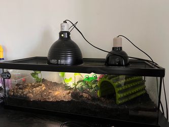 15 gallon tank + accessories