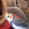 Sue