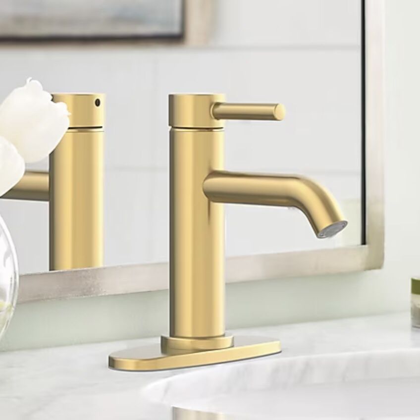 Brand New Sink Faucet