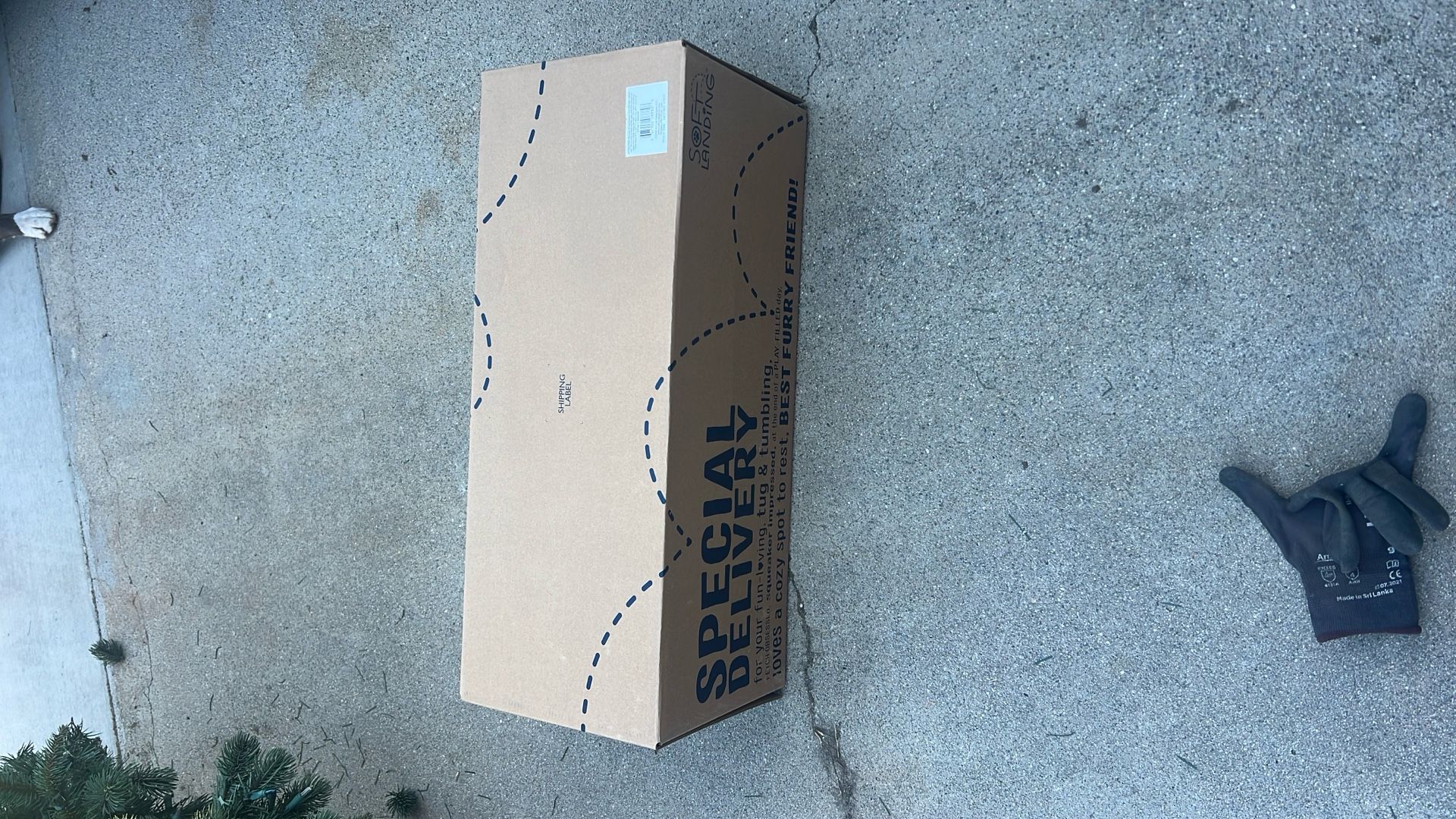 Brand New- Small Dog Bed ((never Opened))