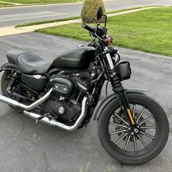 2010 Harley Davidson Iron