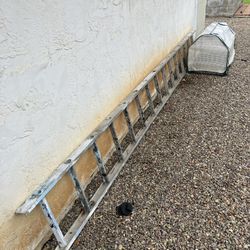 16’ straight Ladder & Miniature Greenhouse 