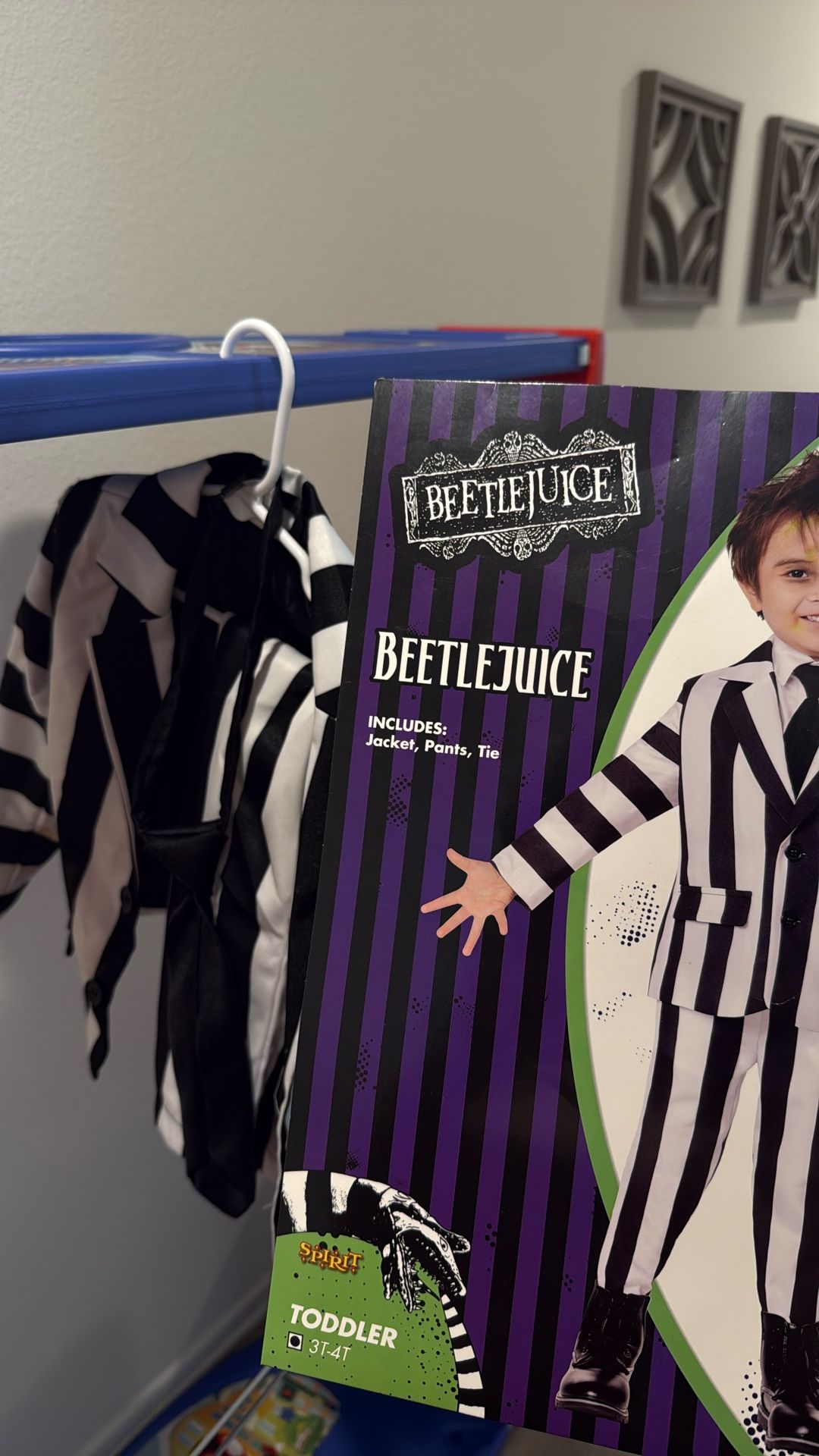 Beetlejuice Costume 3t-4t