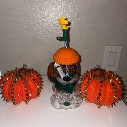 Snoopy collection