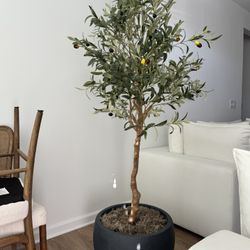 7.5ft Artificial olive Tree w/ Moss + Pot