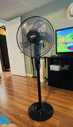 Fan