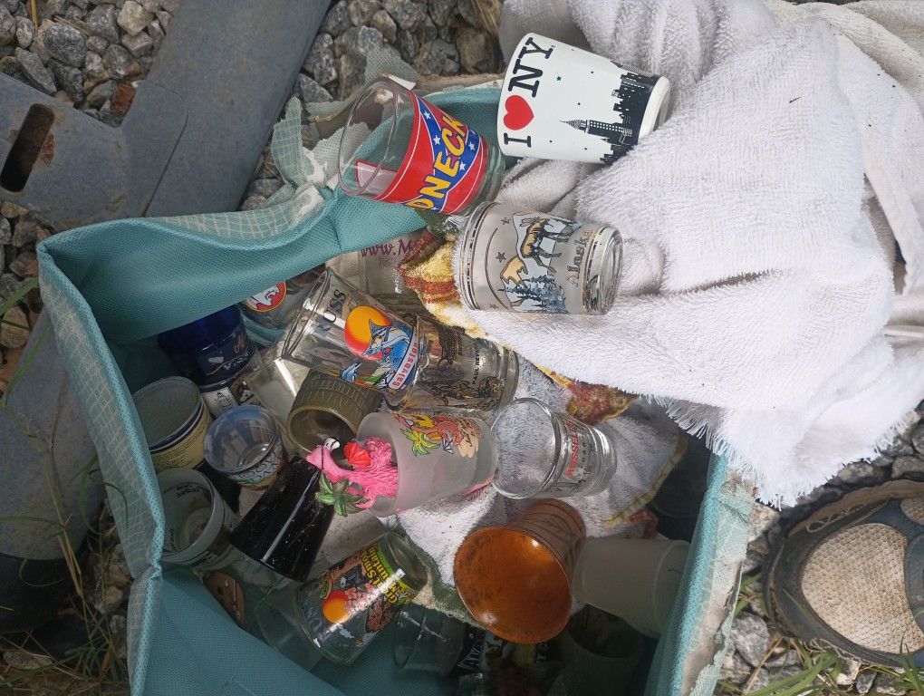 I Have About 30 To 40 Shot Glasses