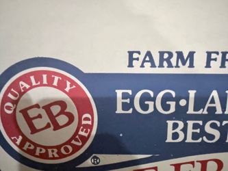 Eggs
