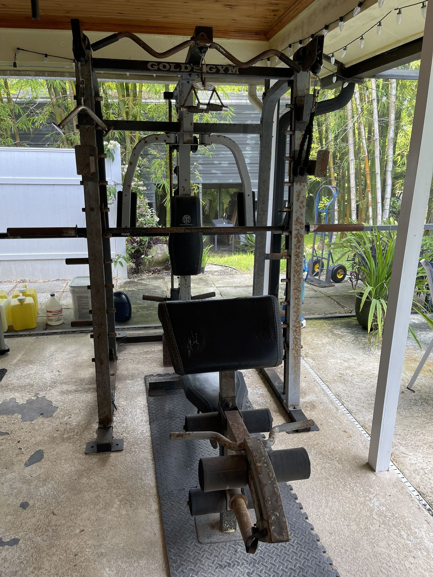 Golds Platinum Exercise Machine