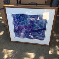 Frame