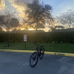 Giant X Aluxx Technology 6000 Series Butted Tubing 27.5” x 21.0” Frame Mountain Bike (LF offers!)