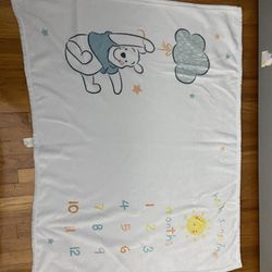 Winnie The Pooh Milestone Blanket
