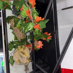 Reptile Cage 