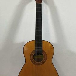 Acoustic Guitars
