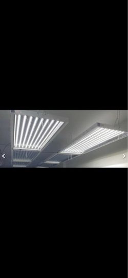 Grow/Veg Lights LED - Argo LED