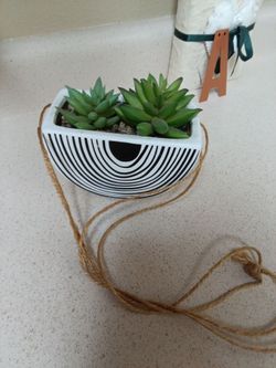Plant decor