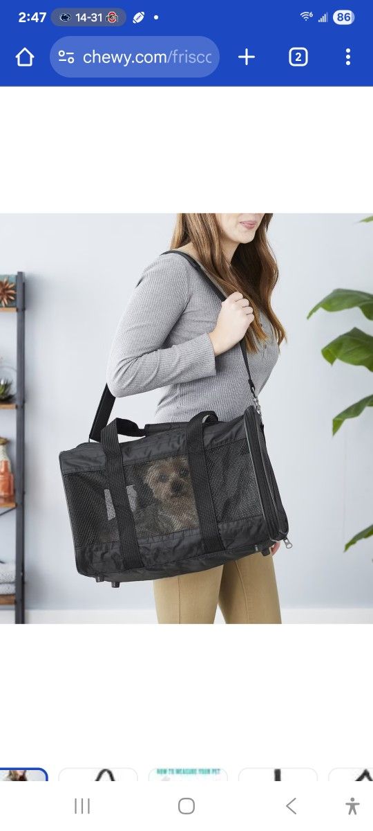 Cat & Dog Carrier medium black