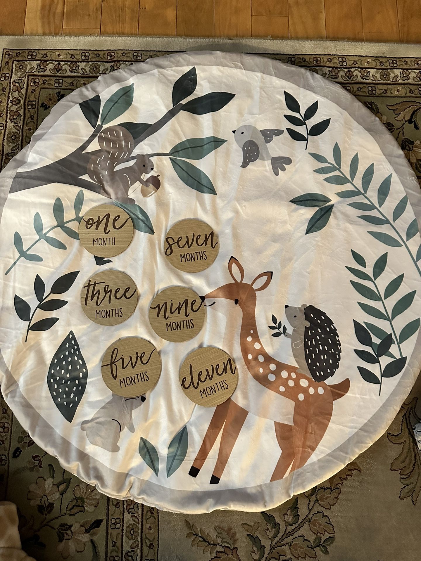 Baby Monthly Milestone Mat And Blocks