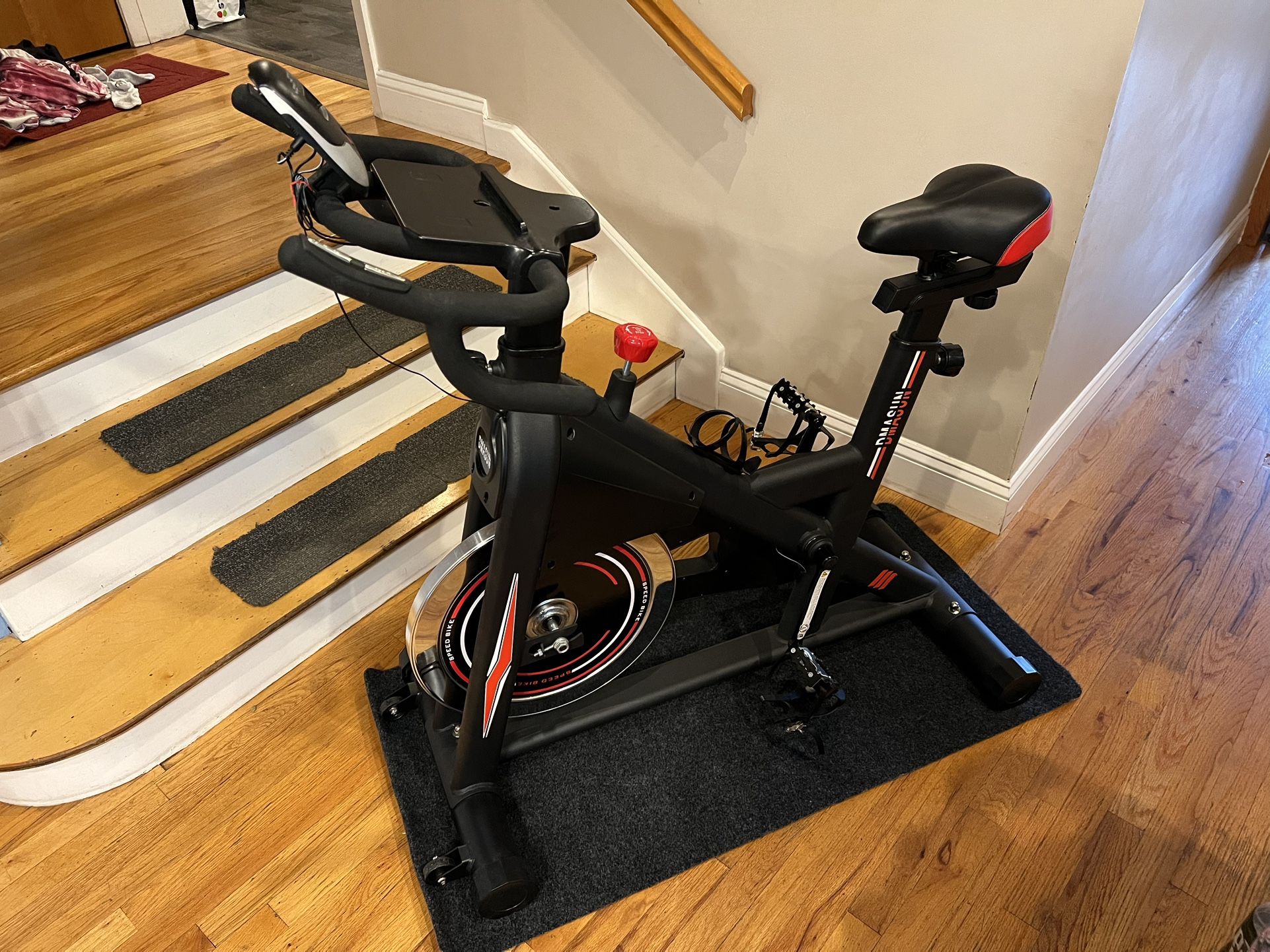 Dmasun Exercise Bike