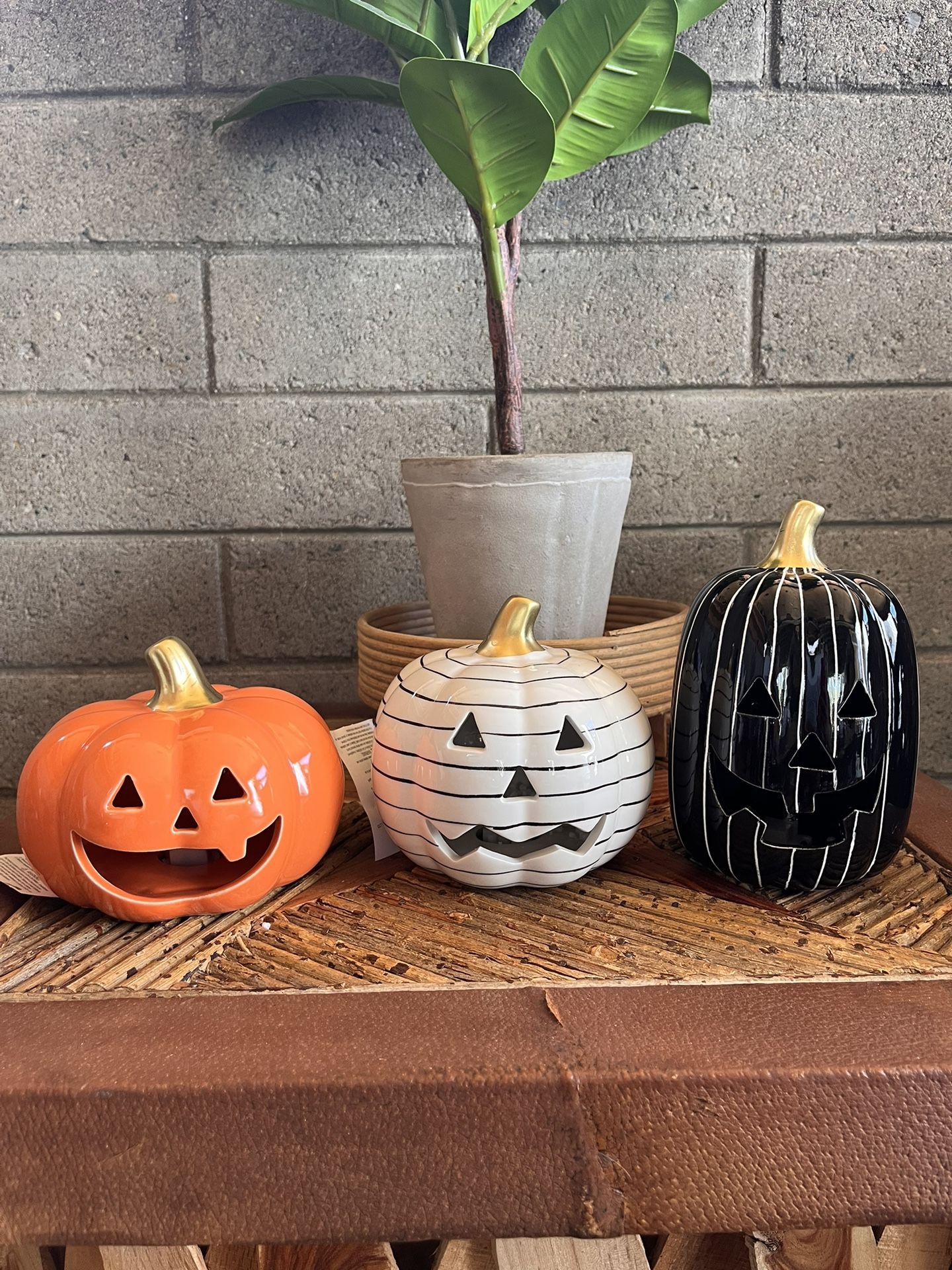 Target Halloween Light up Pumpkins