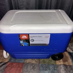 Igloo Cooler