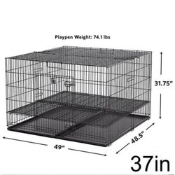 Kennels 