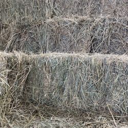 Grass Hay, Barn Stored