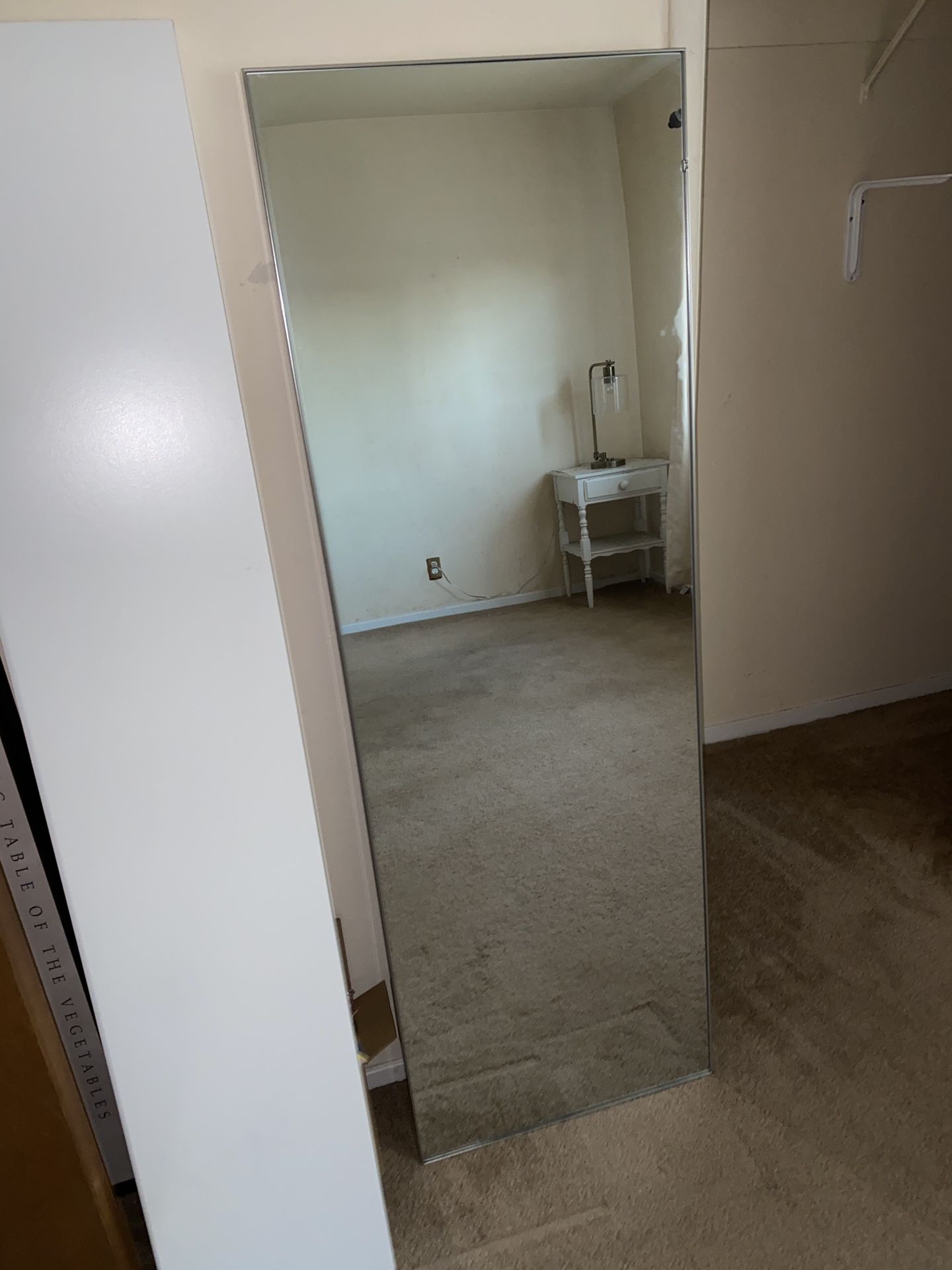 60” X 20” Brushed Nickel Mirror Project 62 Model 074 11 2115